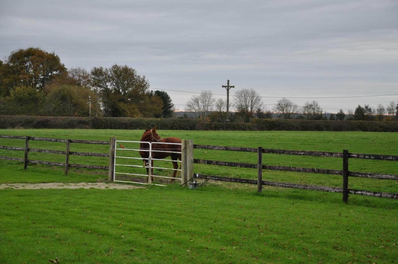 B&B Haras De La Cour Fleury Saint-Michel-de-Livet Exterior foto
