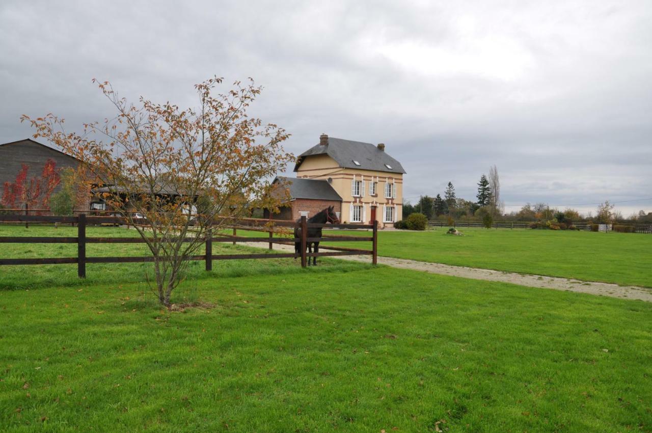 B&B Haras De La Cour Fleury Saint-Michel-de-Livet Exterior foto