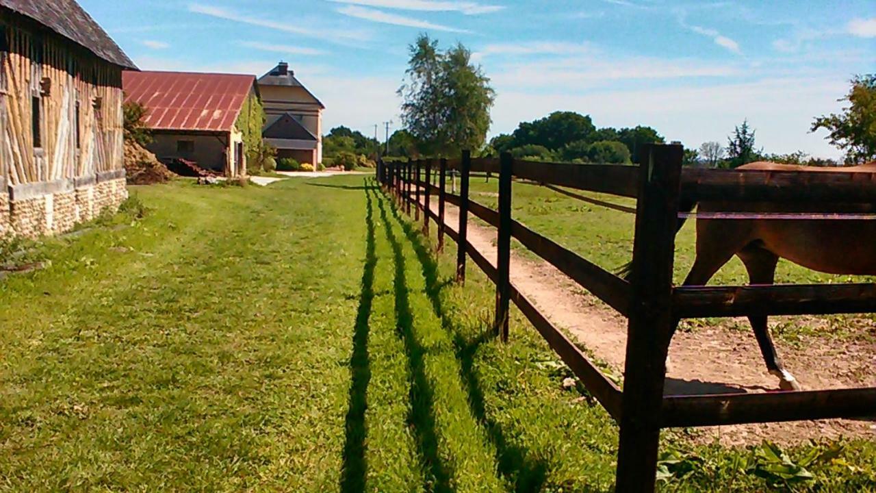 B&B Haras De La Cour Fleury Saint-Michel-de-Livet Exterior foto
